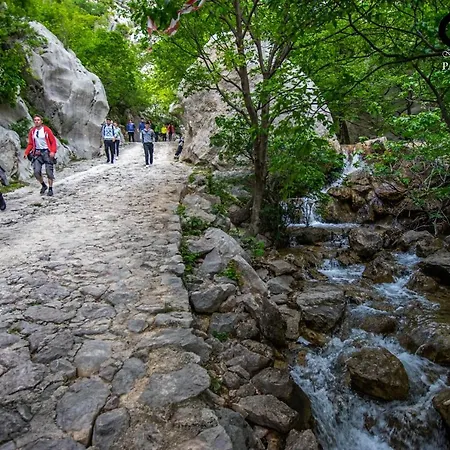 Διαμέρισμα Bellevue Seline