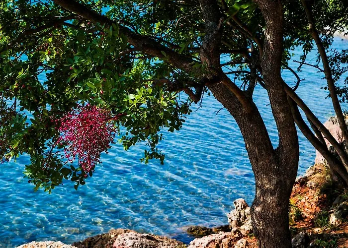 Апартаменты Bellevue Селине